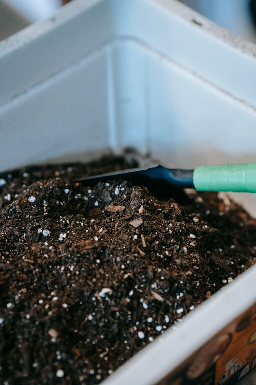 Beginner Tips for Composting at Home: A Simple Guide to Get Started